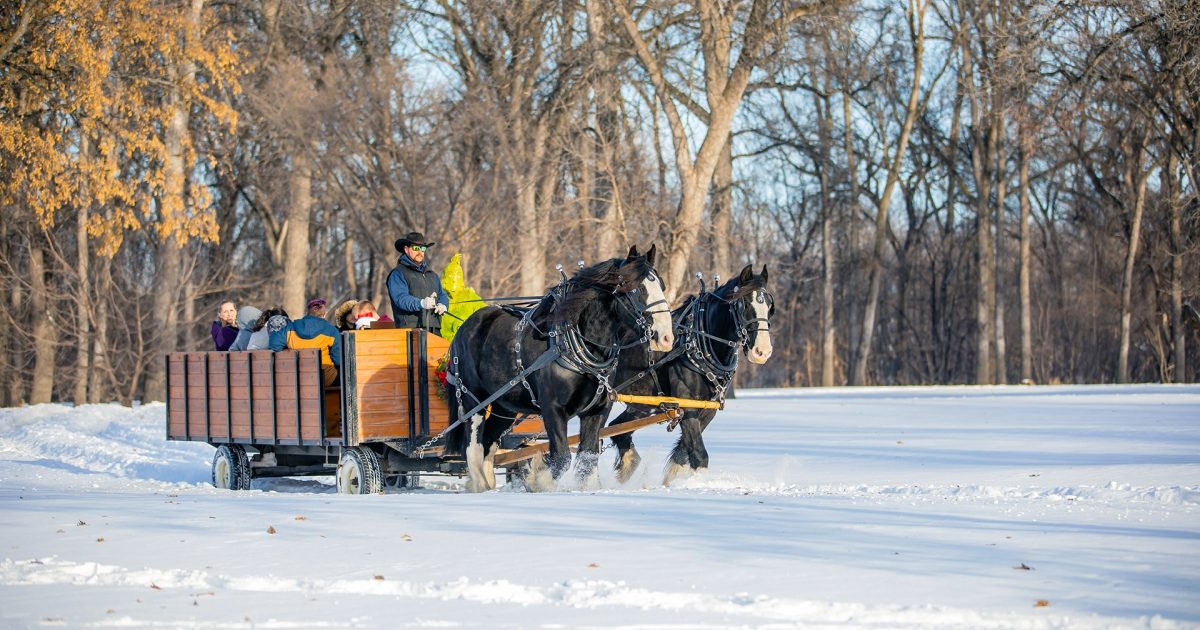 Chill Thrills: Forks' Coolest Winter Activities